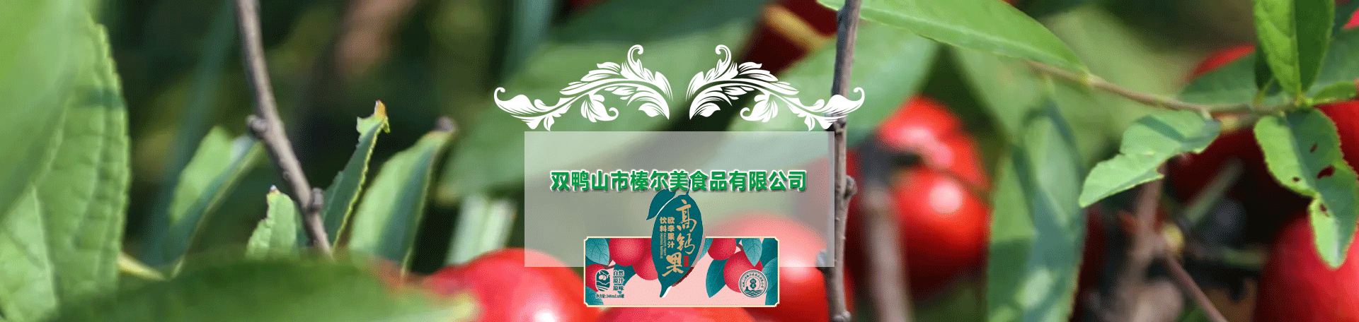 聯(lián)系我們